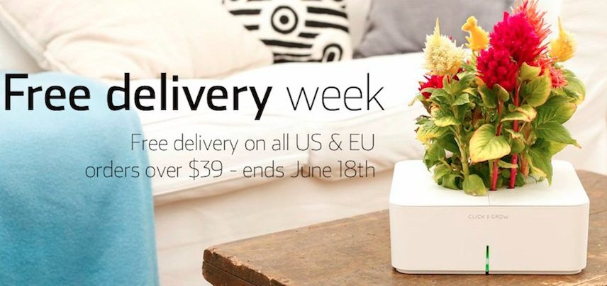 Free Delivery Week 