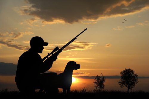 Hunter with his dog silhouettes on sunset background