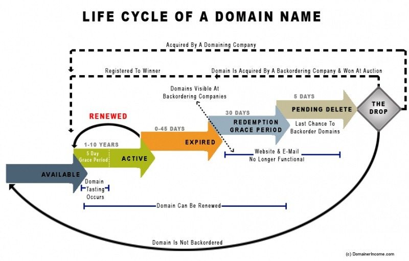 The life cycle of a domain name