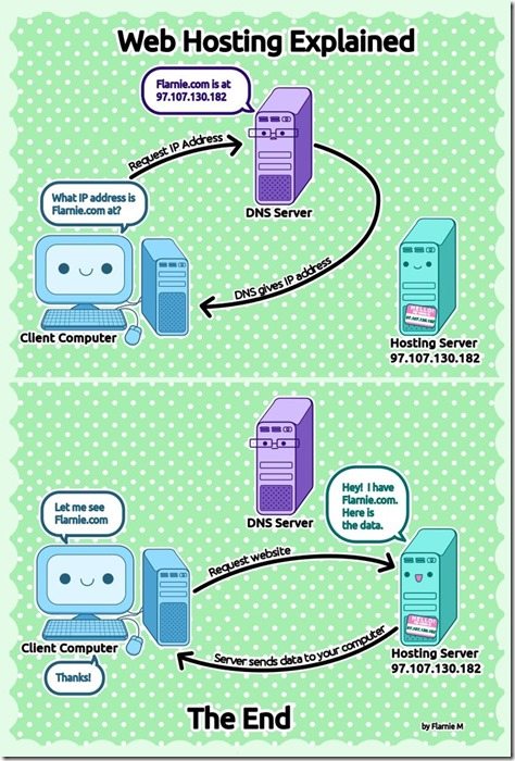 Web hosting explained